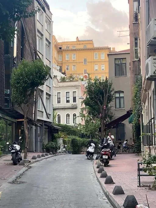 Charming Historical Apartment In Galata Istanboel Turkije